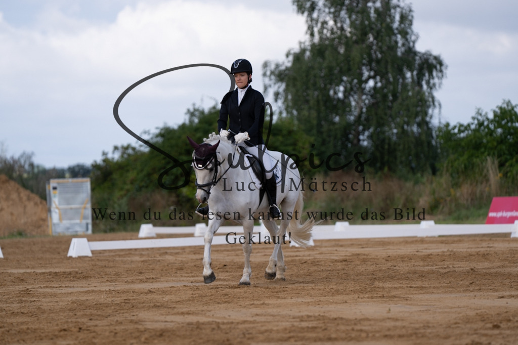 A7V05165 | Pferdefotograf