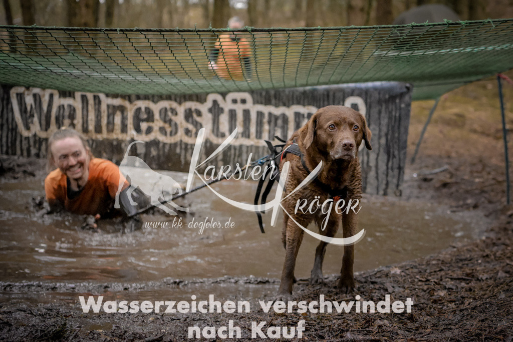 0923_ZZ97702 | kk-dogfotos