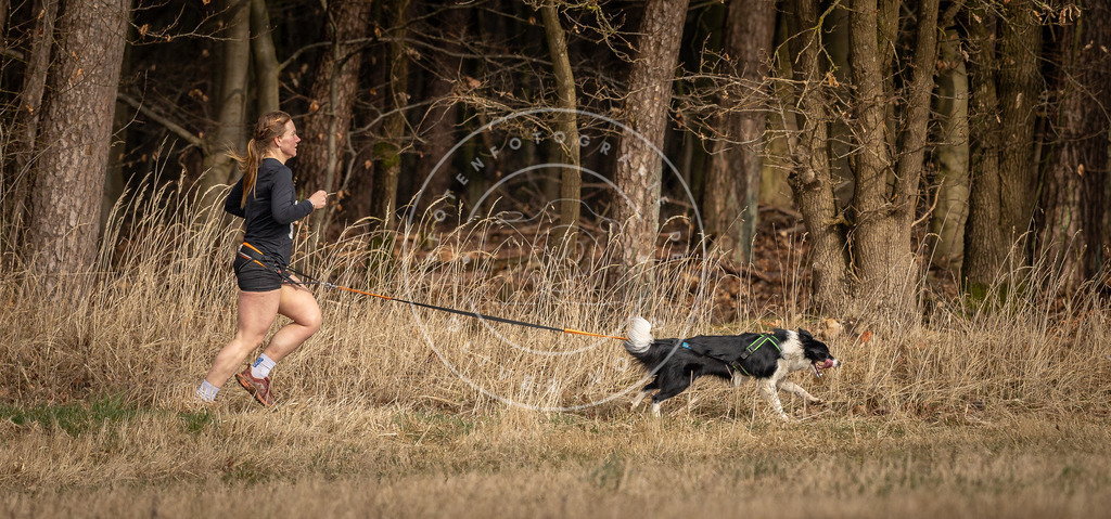 DV3A4116 | Hundefotografie, Tierfotograf, Pfotenfotografie, Fotoshooting Hund, Hunde Portrait, Hundesport, Hundeportraits, Heideshooting, Hunde, Sportfotograf, Hundefotograf, Turnierhundsport, THS,  - Realisiert mit Pictrs.com