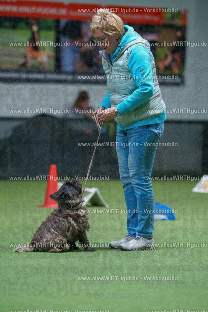 7R503218 | Professionelle Tierfotografie in Mönchengladbach von Daniel Wirth (allesWIRTHgut). Liebevolle & natürliche Bilder von Hunden & Katzen für unvergessliche Erinnerungen.