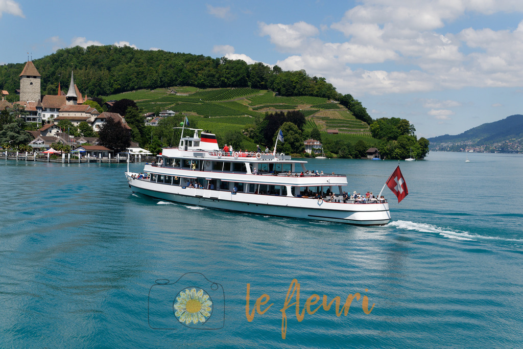 DSC_0209-NEF_DxO_HQ | Dies ist der Shop von Florian Blum - le fleuri. Langenthal, Bern, SchweizSie können hier meine oder ihre eigenen Fotos als Fotoprodukte kaufen. Tassen, Schlüsselanhänger, Taschen etc. können Sie hier gestalten.  - Realisiert mit Pictrs.com