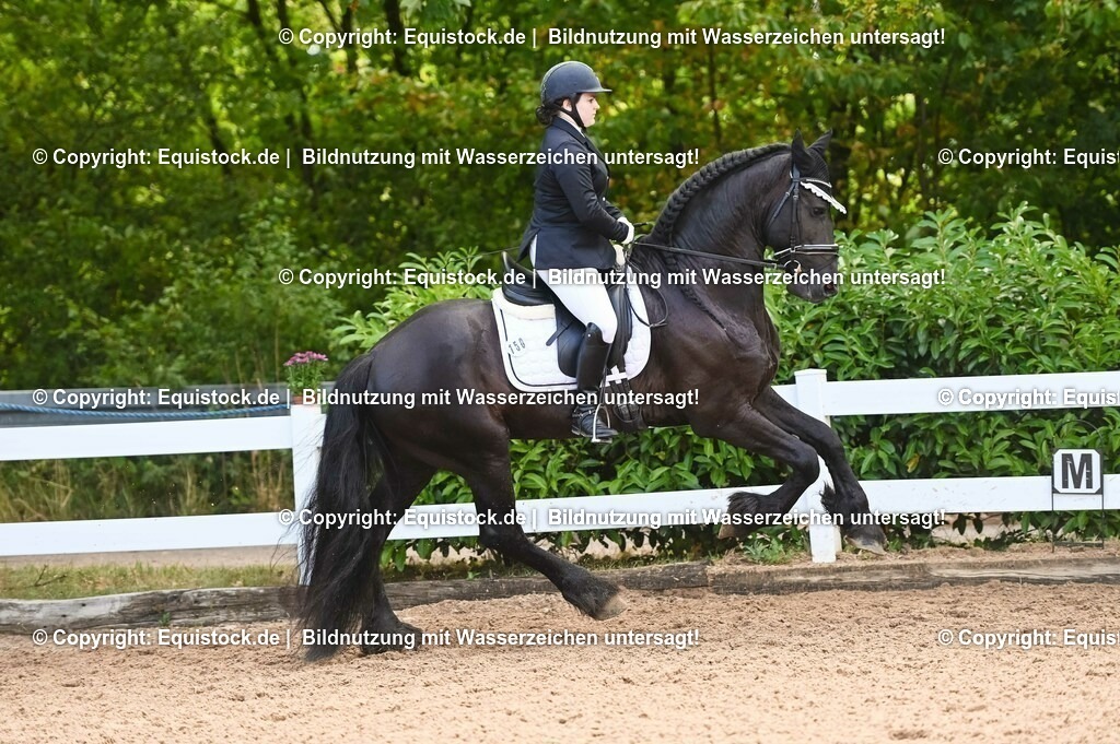 20230716_04_Dressurreiterprüfung Kl.A_0363 | equistock