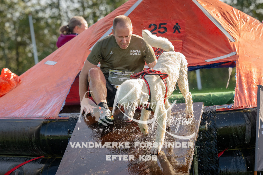 1116-91971 | kk-dogfotos