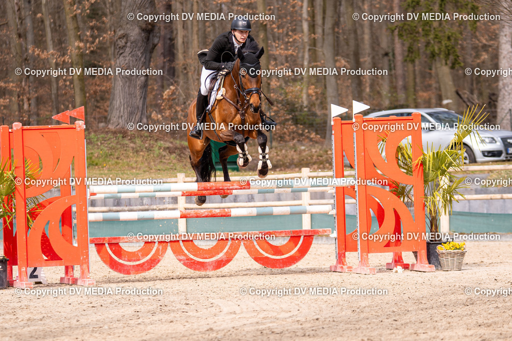 Kranichstein Tag 2-2019 | dv-media-shop - Realisiert mit Pictrs.com