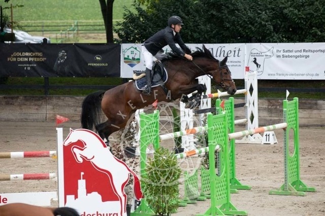 2B4A2646 | pixelfaenger - Realisiert mit Pictrs.com