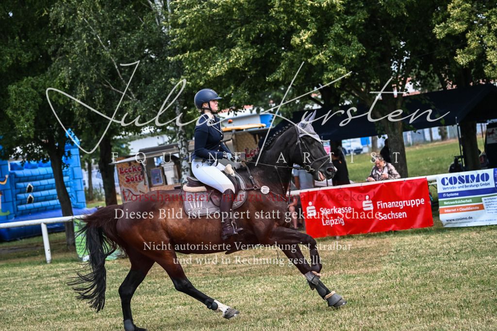 DSC_8120 | Pferde- und Turnierfotografie in Westsachsen. Pferdeportraits, Auftragszeichnungen und intuitive Kunst.
