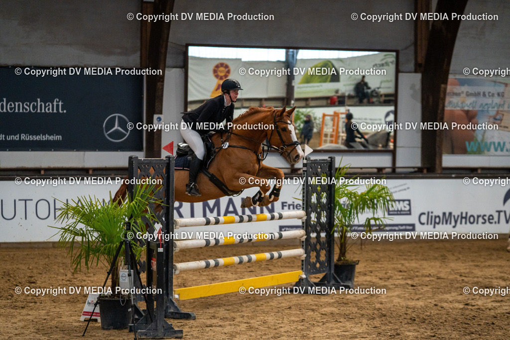 Kranichstein Tag 2-039 | dv-media-shop - Realisiert mit Pictrs.com