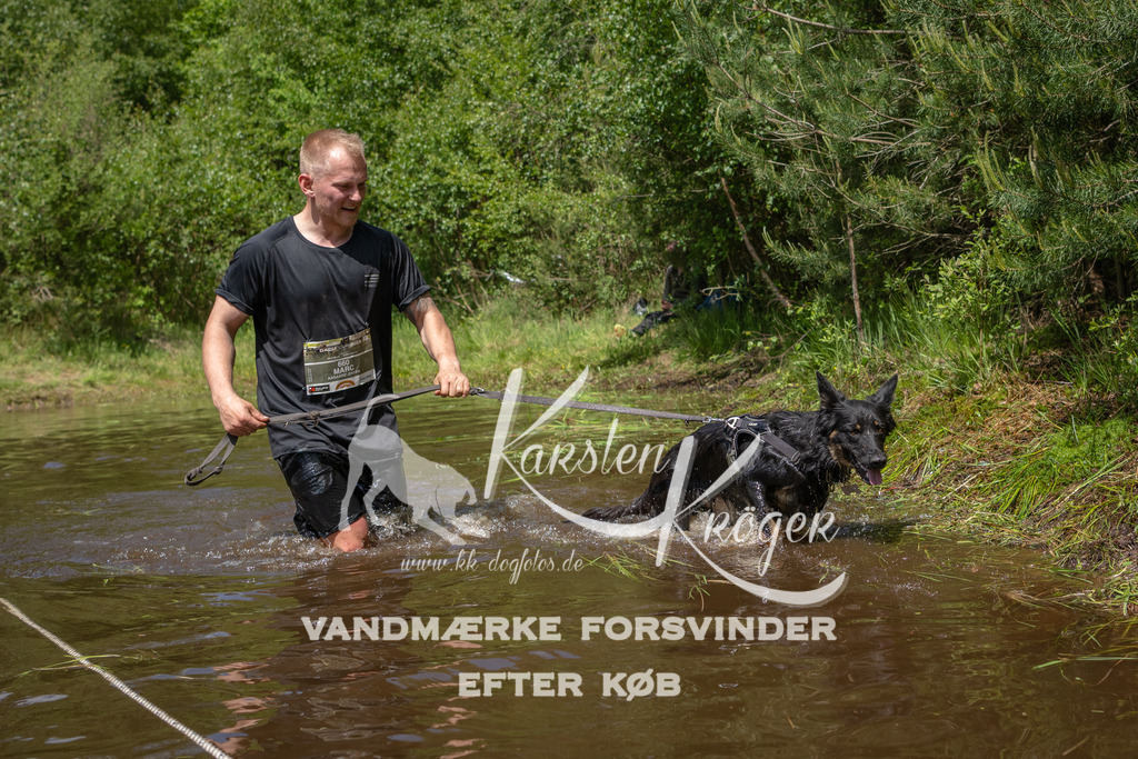 1330DKK994939 | kk-dogfotos