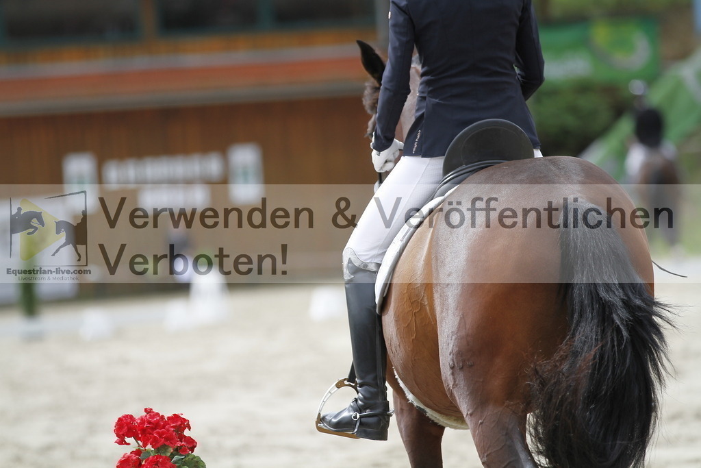 _MG_4334 | equestrian-live-com