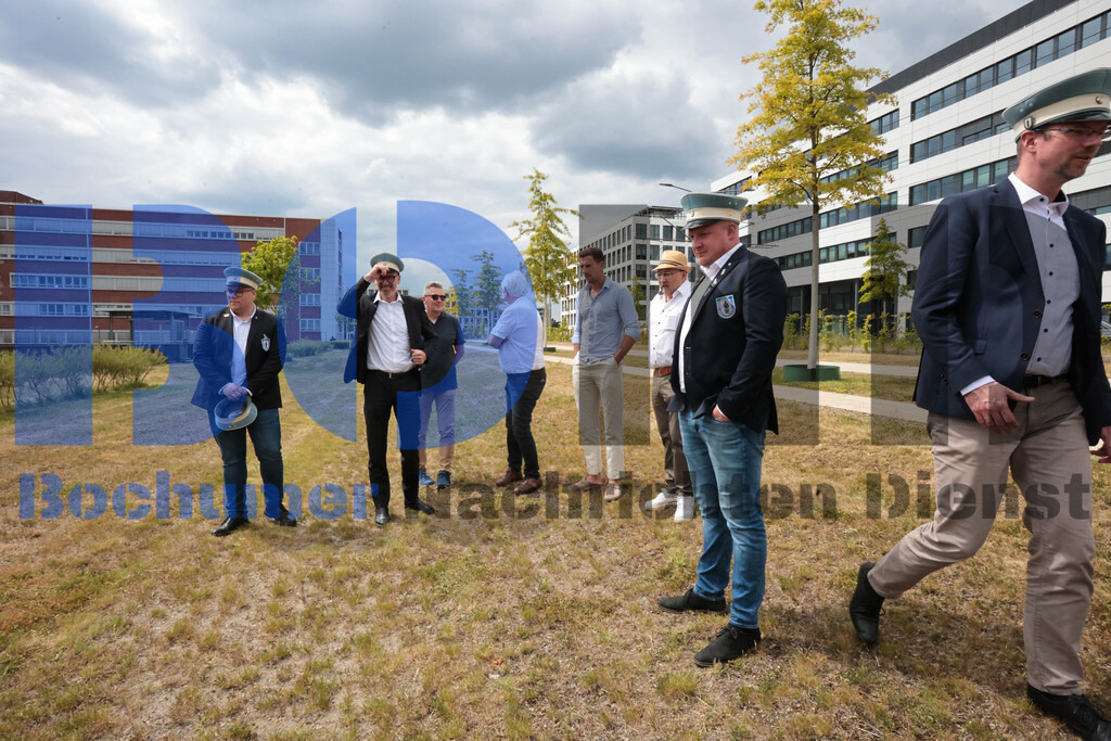 Eicheingrabung | Eicheingrabung - Realisiert mit Pictrs.com