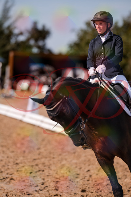 2026_10_03_Siefer-Hof_133830_Z81_96631804 | Professionelle Reitsport-, Turnier- und Eventfotografie von Robert Broda. Galerien mit ausgewählten und bearbeiteten Bildern direkt online ansehen und bestellen.