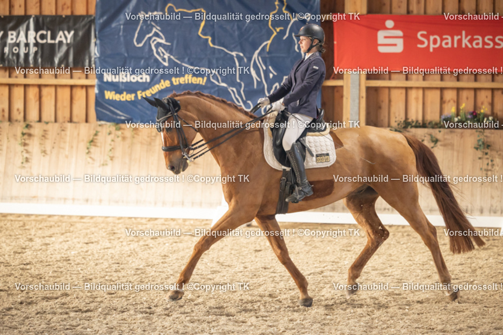 _D5A3260 | Emotionale Pferde- & People-Fotografie rund um Heidelberg, Leimen & Umgebung. Natürliche Fotos von Pferd, Mensch & Familie. Jetzt Termin sichern!