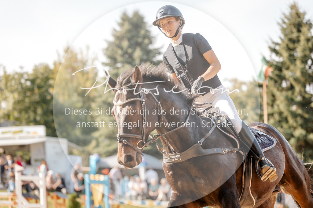 3I6A5066 | Stimmungsvolle Portraits und Reitsportfotografie im Ruhrgebiet und im Münsterland.

Pferdefotografie, Hundefotografie, Tierfotografie, Reportagen, Portraits von Tier und Mensch, Turnierfotografie in Bochum, Recklinghausen, Marl, Haltern am See, Dülmen.. - Realisiert mit Pictrs.com