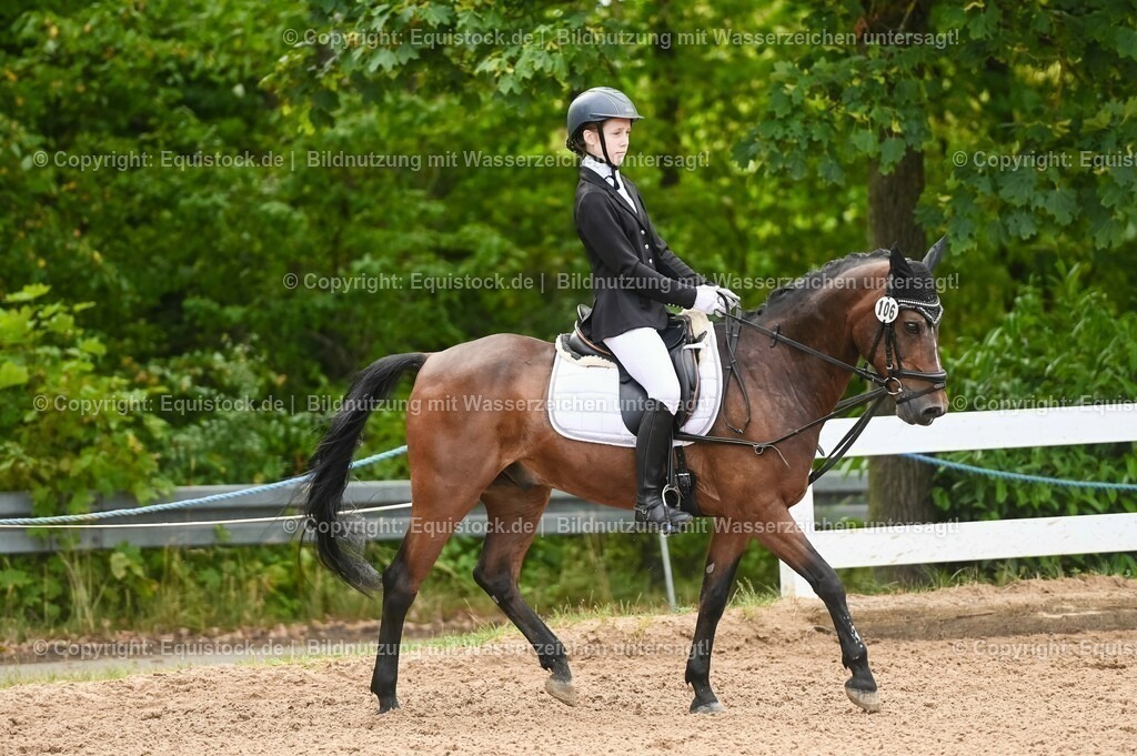 20230716_10-2_Reiter-WB Schritt - Trab - Galopp_0098 | equistock