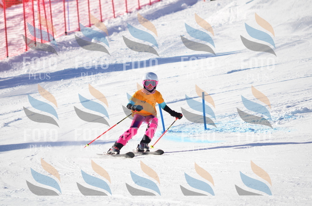 C5863 | holidayphoto