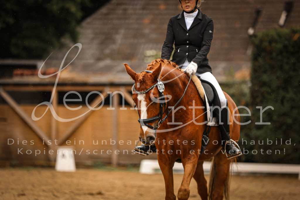 DoDrA00310 | Leoni Ertmer Photography - Realisiert mit Pictrs.com