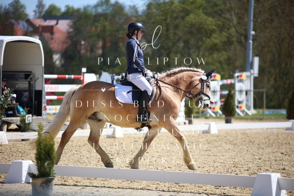 IMGT2169 | pl-fotografie