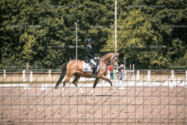 _W6A2645 | ronjaprokoschfotografie - Realisiert mit Pictrs.com