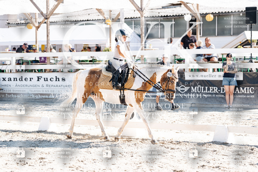 CK903245 | Turnierfotografie Pferdefotografie Trier Rheinland-Pfalz Pferdesport Reitsport Tierfotografie Sportfotografie Pferdevideo Pferdevideografie Equestrianvideography equestrianphotography  - Realisiert mit Pictrs.com