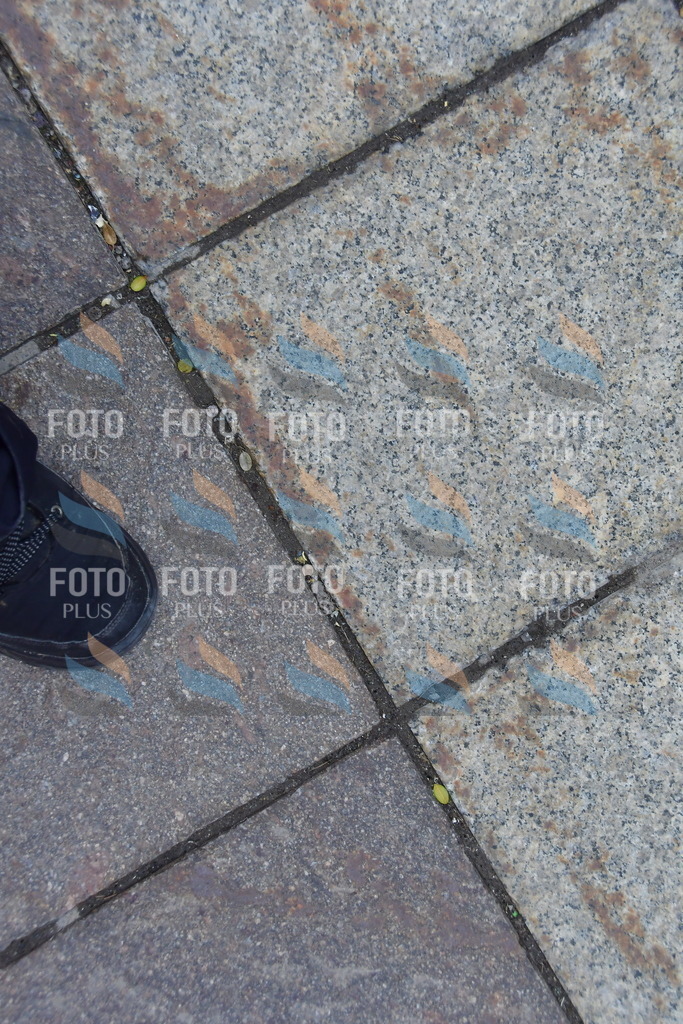 _DSC1819 | holidayphoto