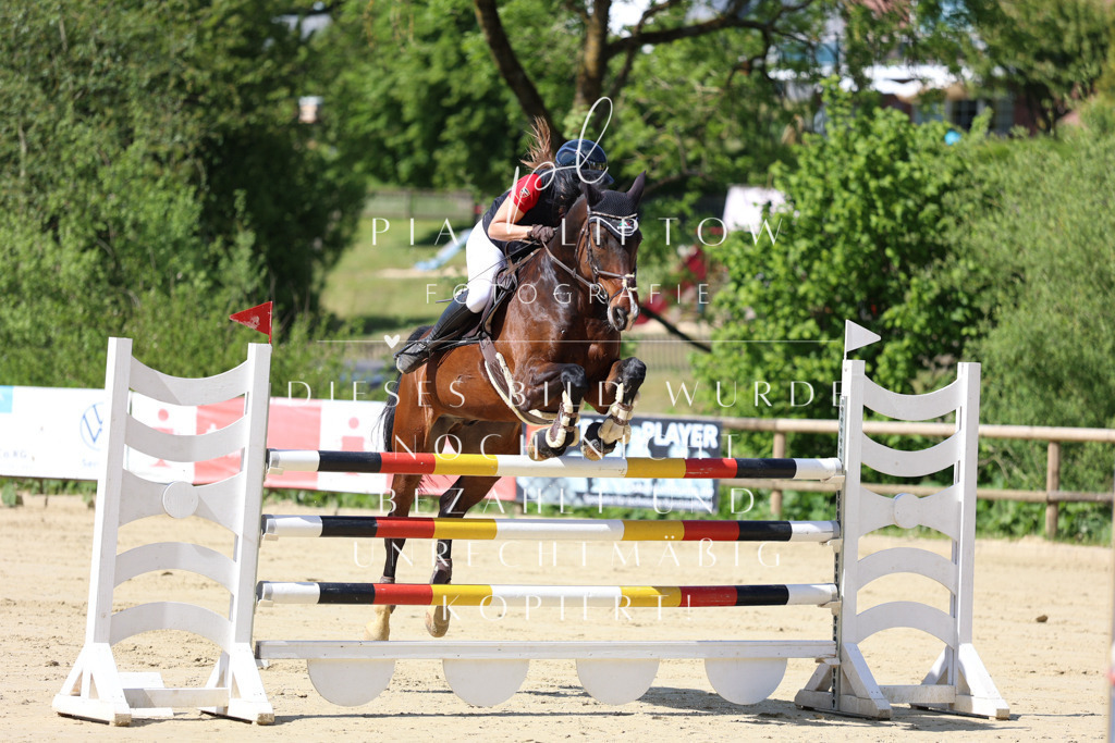 IMGS9863 | pl-fotografie