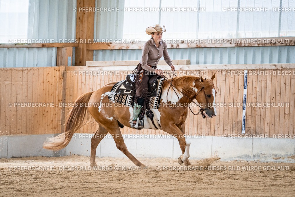 DSC09051 | Pferdegrafie