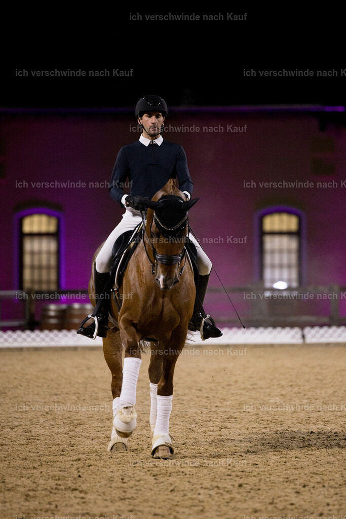 FHC2025 Isabell Werth-26517 | working equitationturnier fotograf videograf stoibphotography marixx film working equitation deutschland reitsport turnierfotografie eventfotografie equestrian events