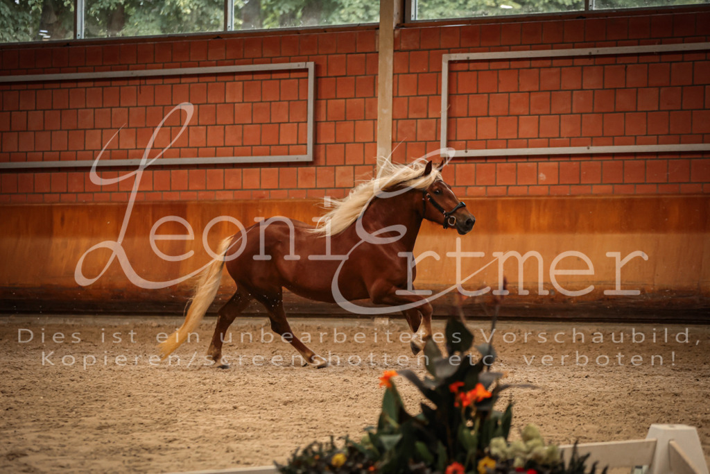 SaFL00485 | Leoni Ertmer Photography - Realisiert mit Pictrs.com