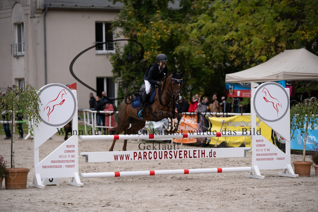 A7V07773 | Pferdefotograf