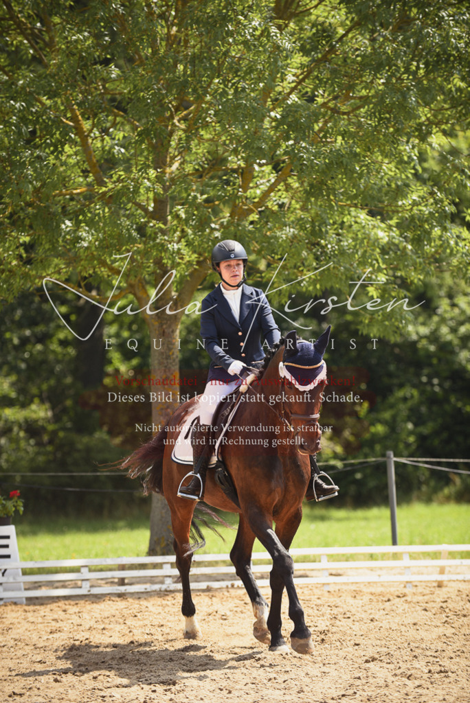 DSC_0982 | Pferde- und Turnierfotografie in Westsachsen. Pferdeportraits, Auftragszeichnungen und intuitive Kunst.