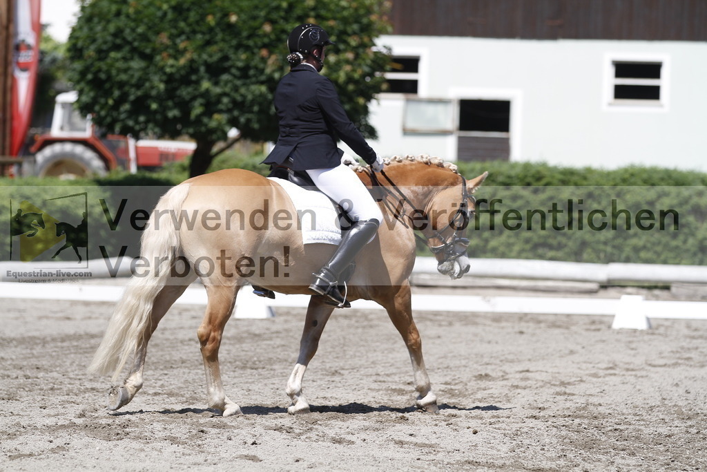 _MG_4053 | equestrian-live-com