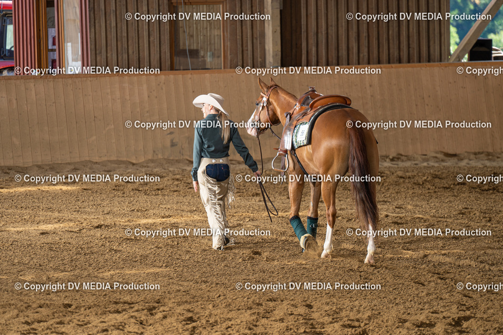 DSC00084 | dv-media-shop - Realisiert mit Pictrs.com