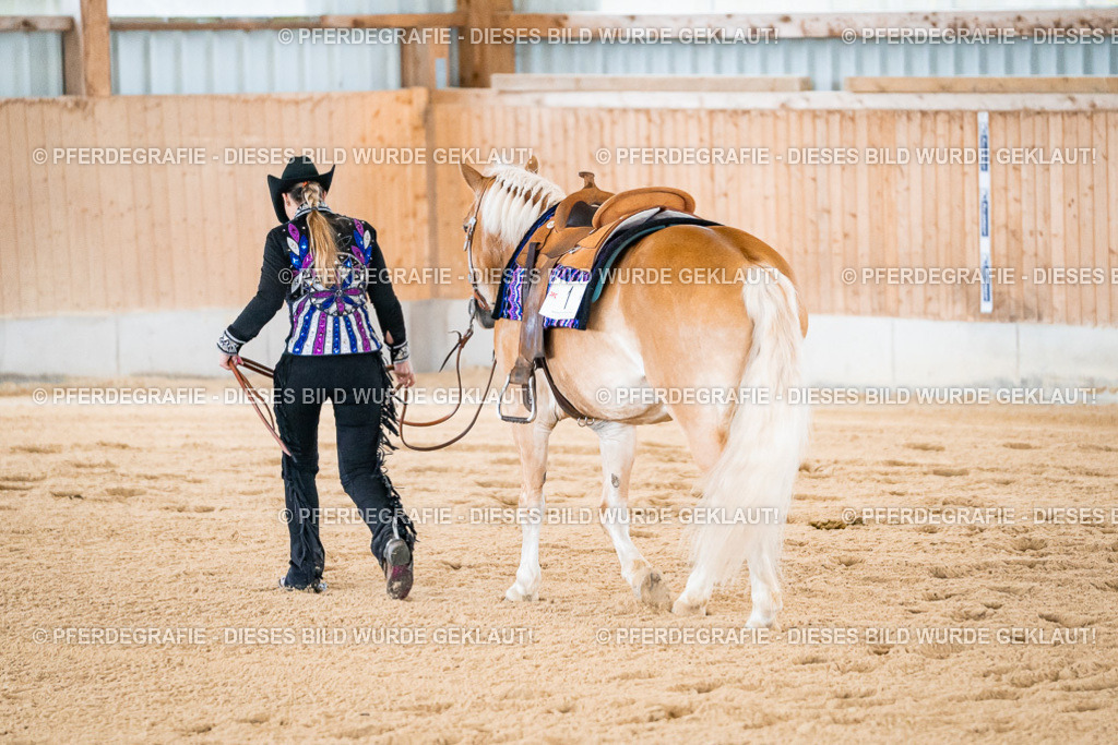 DSC01649 | Pferdegrafie