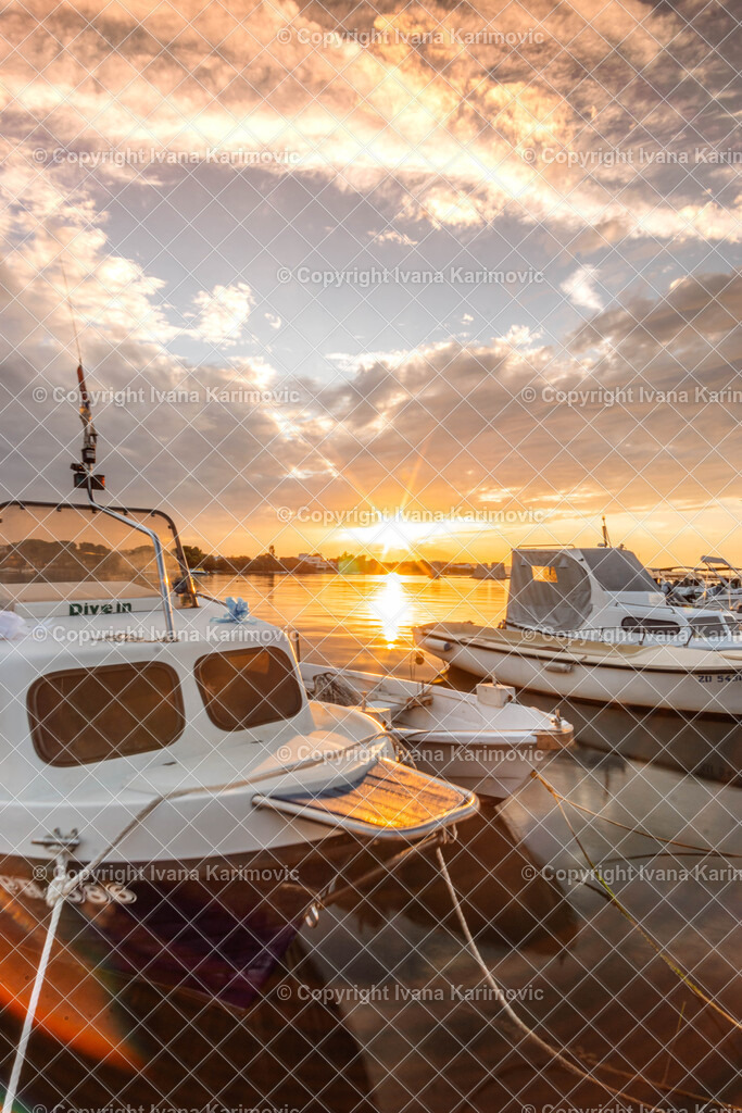 DSC06157 | ikphotography - Realisiert mit Pictrs.com