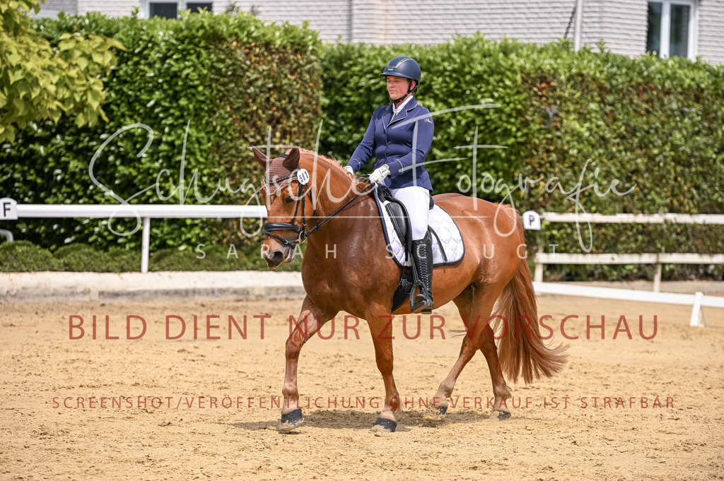 Schugtsche-Aluta25-55.Dressurreiterprf.L1Tr-97 | Schugtsche Fotografie - Realisiert mit Pictrs.com