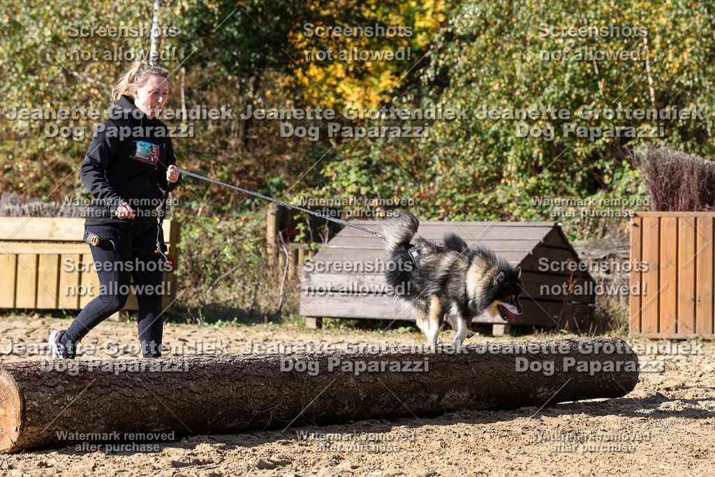 Dog Paparazzi - Strongdog 10-25-4811 | Dog Paparazzi Jeanette Grottendiek Fotografie & Videografie - Realisiert mit Pictrs.com