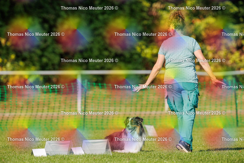 Thomas_Nico_Meuter(C)_04. Oktober 2026_223A2727 | Bild von Thomas Nico Meuter - Realisiert mit Pictrs.com