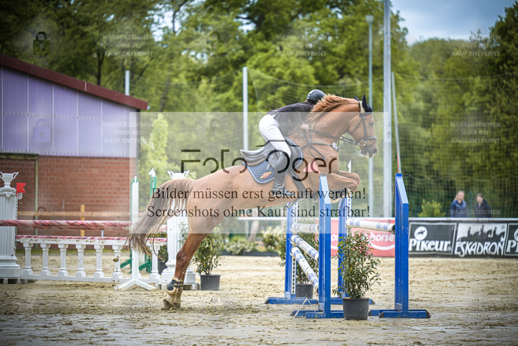 DOS_6260 | Entdecke hochwertige Reitturnierfotos von Foto Oger. Professionell, emotional und authentisch – jetzt Lieblingsmomente im Shop bestellen.Deutschlandweite Turnierfotografie. - Realisiert mit Pictrs.com