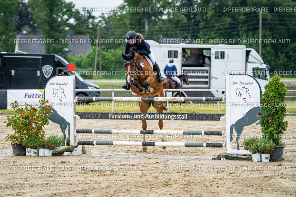 DSC03595 | Pferdegrafie