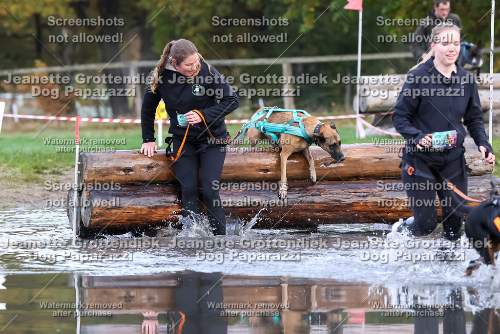 Dog Paparazzi - Strongdog 10-25-6573 | Dog Paparazzi Jeanette Grottendiek Fotografie & Videografie - Realisiert mit Pictrs.com