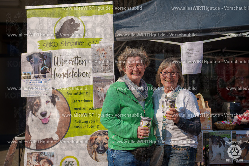Pfötchenmarkt Nettetal-Lobberich 2026 - Nettetal-Tag - Daniel Wirth - www.allesWIRTHgut.de - @allesWIRTHgut_Tierfotografie 7R508326 | Professionelle Tierfotografie in Mönchengladbach von Daniel Wirth (allesWIRTHgut). Liebevolle & natürliche Bilder von Hunden & Katzen für unvergessliche Erinnerungen.