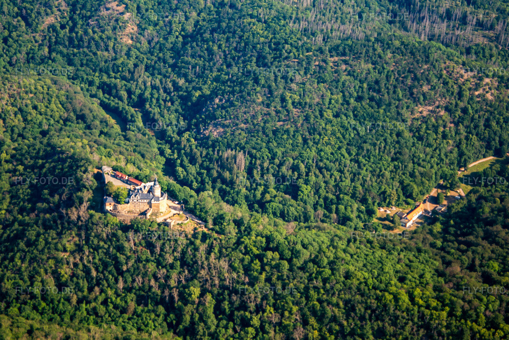 Luftbild: Burg Falkenstein (Harz) im Ortsteil Pansfelde in Falkenstein im Bundesland Sachsen-Anhalt in Deutschland. Foto: IMG_136750.jpg vom 18.06.2023 durch Werner Riehm/FLY-FOTO.deBurg Falkenstein - Kulturstiftung Sachsen-Anhalt