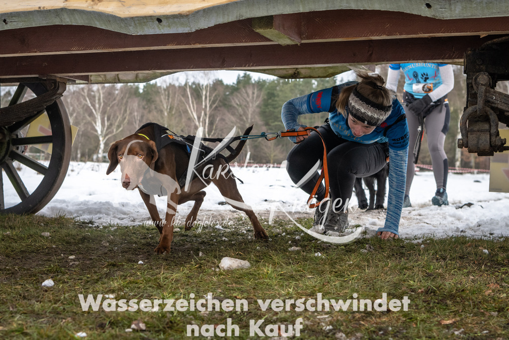 0941_ZZ91214 | kk-dogfotos