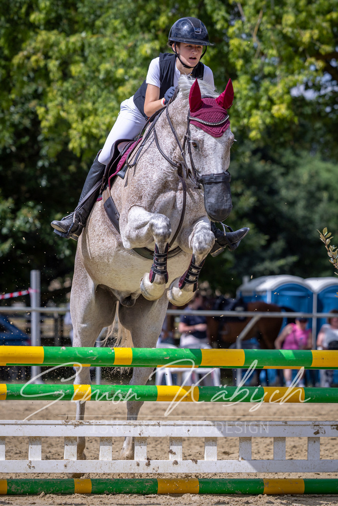 20260704-_3LI0706 | Tierfotografie Pferde, Hunde, Katzen, Haustiere.
Turnierfotografie Reitturniere, Reiten, Springreiten, Dressur in Hanau, dem Main-Kinzig-Kreis und dem Rhein-Main- Gebiet um Frankfurt