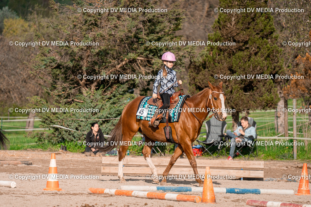 BAL02895 | dv-media-shop - Realisiert mit Pictrs.com