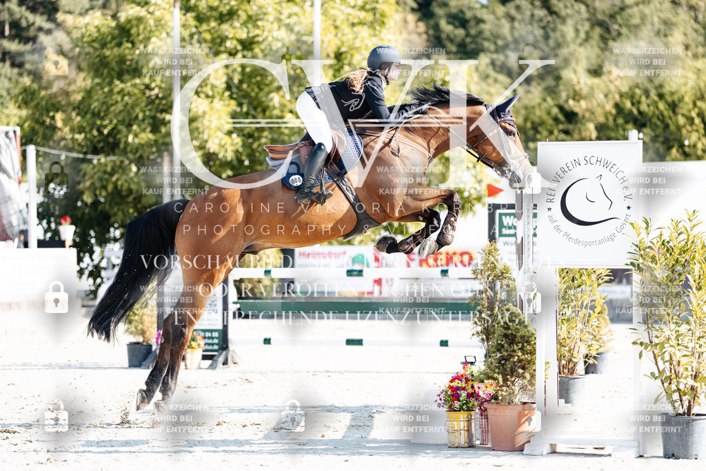 CK901706 | Turnierfotografie Pferdefotografie Trier Rheinland-Pfalz Pferdesport Reitsport Tierfotografie Sportfotografie Pferdevideo Pferdevideografie Equestrianvideography equestrianphotography  - Realisiert mit Pictrs.com