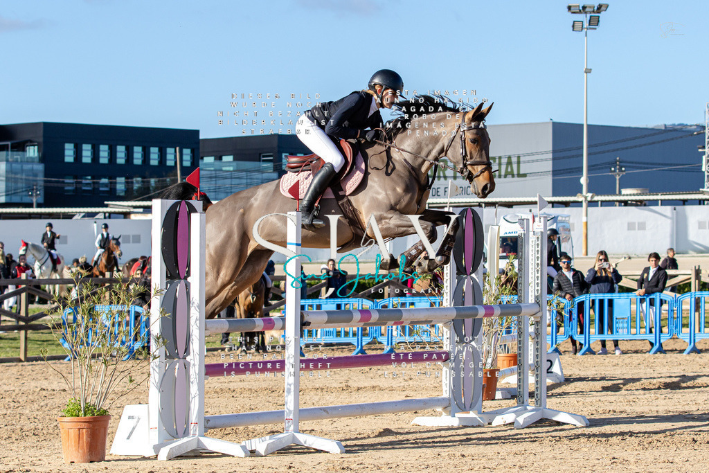 IMG_4892 | s-jay-photography - Realisiert mit Pictrs.com