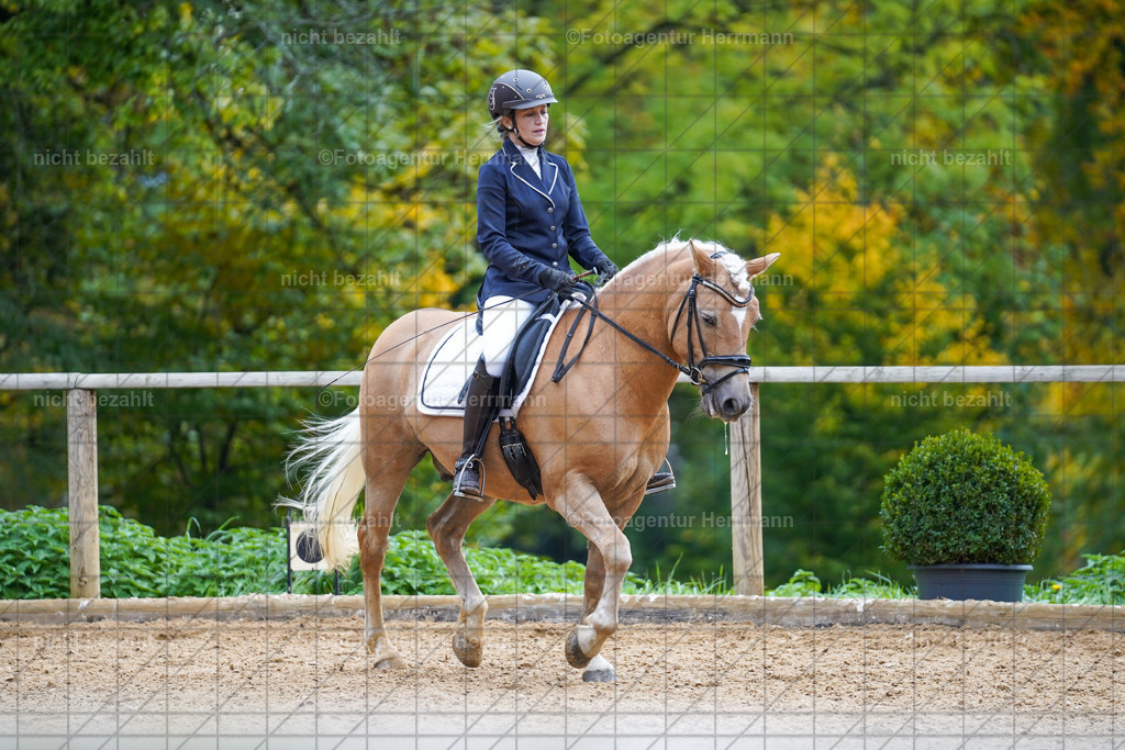 20221008-FAH00956 | Diessen am Ammersee, 2022, Dressur- und Springturnier, Reitsportbilder, Turnierfotografen Bayern, Pferdefotografen, Fotoagentur Herrmann, Turnierbilder