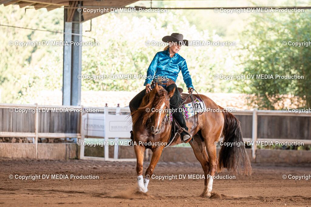 Erbach Tag 2-1094 | dv-media-shop - Realisiert mit Pictrs.com