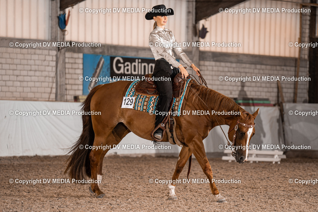 ZH100017 | dv-media-shop - Realisiert mit Pictrs.com